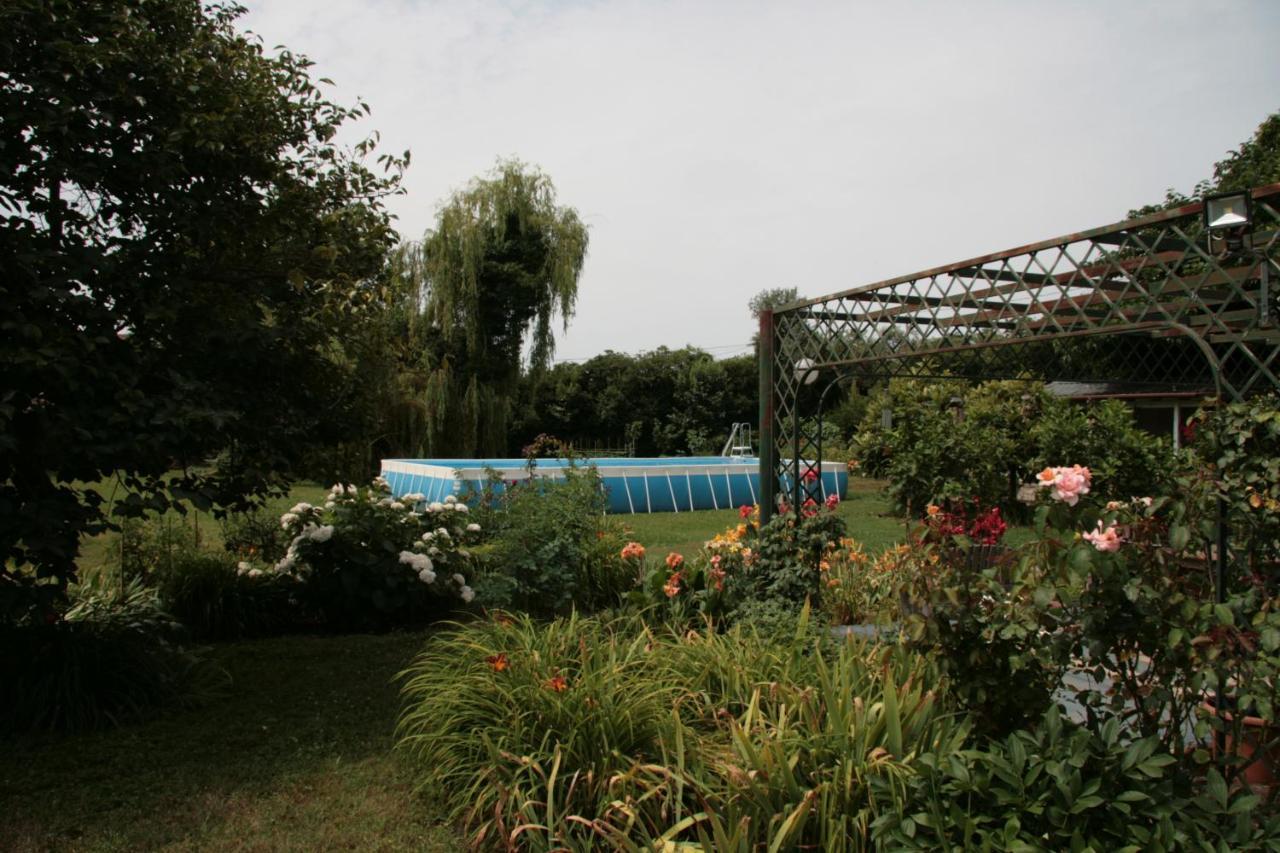 Pietrasanta - Versilia - Villa Arzilla Garden Con Piscina Tonfano Kültér fotó